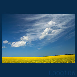 Fotogaleria MORZE - Andrzej Jackowski, galeria zdjęć, morskie zdjęcia, panoramy, Świnoujście