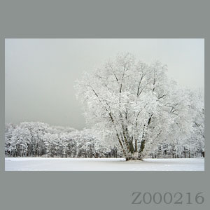 Fotogaleria MORZE - Andrzej Jackowski, galeria zdjęć, morskie zdjęcia, panoramy, Świnoujście