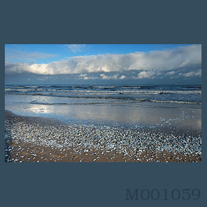 Fotogaleria MORZE - Andrzej Jackowski, galeria zdjęć, morskie zdjęcia, panoramy, Świnoujście