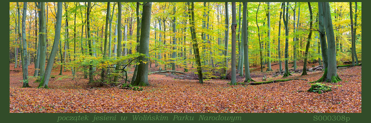 Fotogaleria MORZE - Andrzej Jackowski, galeria zdjęć, morskie zdjęcia, panoramy, Świnoujście