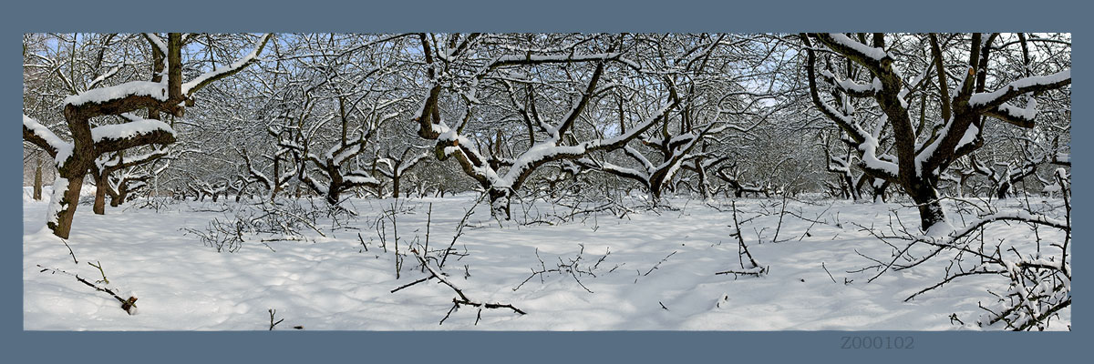 Fotogaleria MORZE - Andrzej Jackowski, galeria zdjęć, morskie zdjęcia, panoramy, Świnoujście